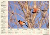 Марийские календари, сувениры и подарки из Республики Марий Эл